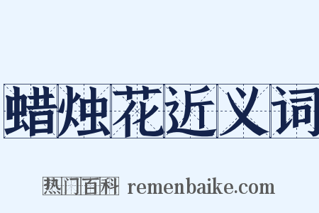 蜡烛花近义词是什么意思的图片